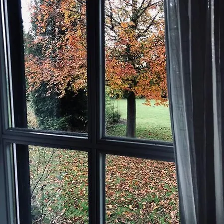 Apartment Rose Et Pivoine - Das Haeuschen Im Paradies *